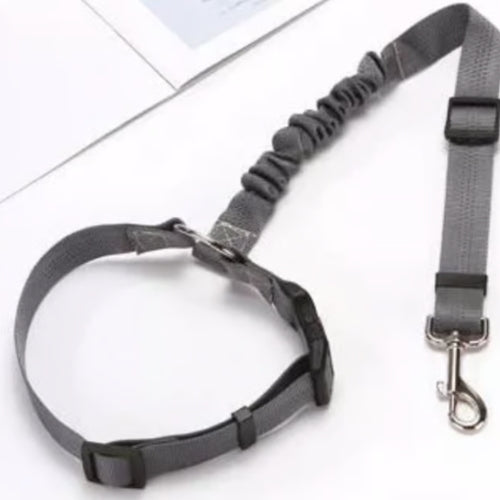 Honden autogordel | 33% korting